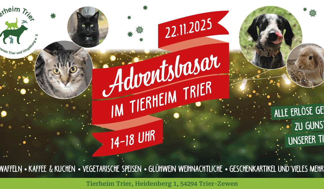 Einladung zum Adventsbasar am 22.11.2025
