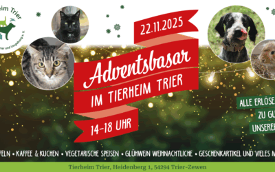 Einladung zum Adventsbasar am 22.11.2025