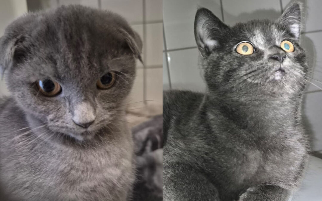 Davinci & Dörthe