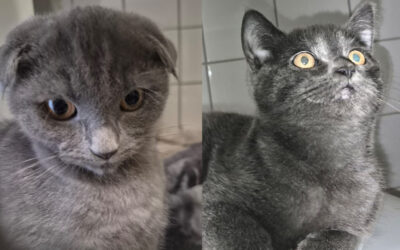 Davinci & Dörthe