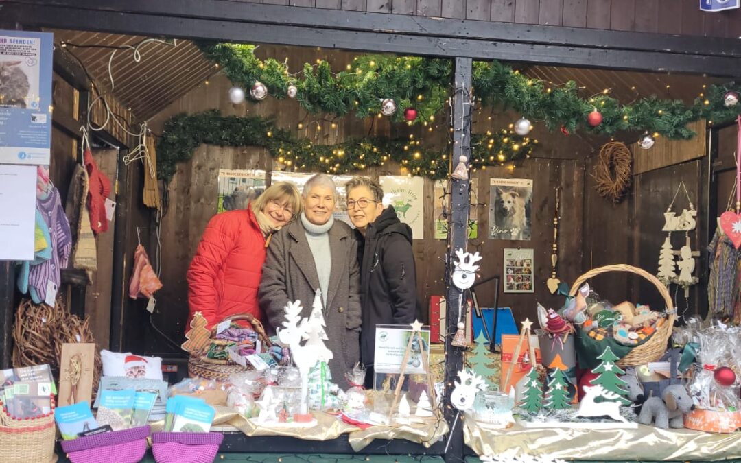 Tierschutzverein-Stand auf dem Weihnachtsmarkt Trier