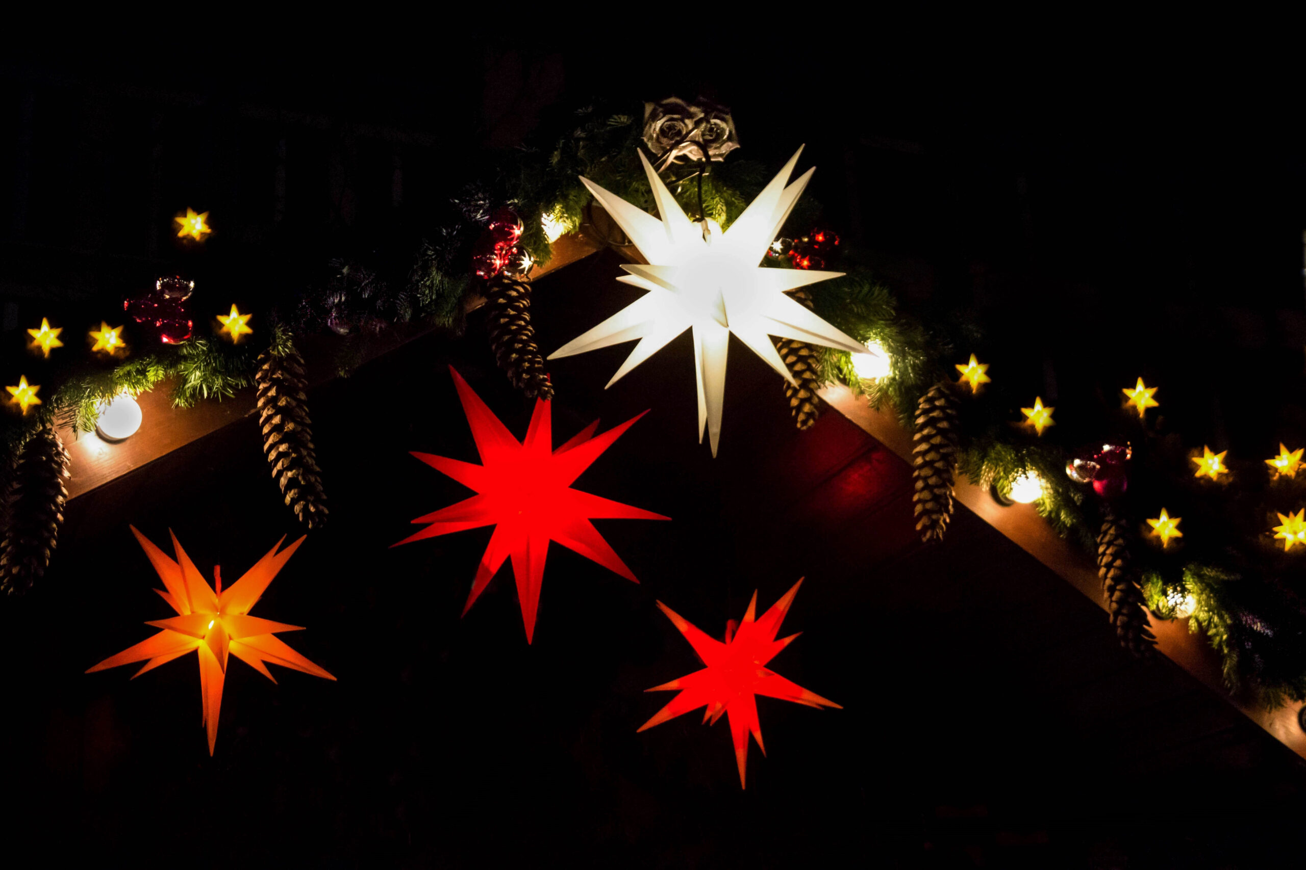 Tierschutzverein-Stand auf dem Weihnachtsmarkt Trier