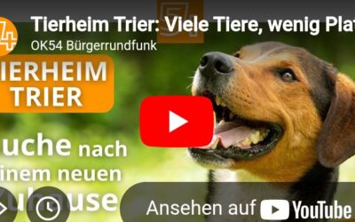 Bericht des OK54 über unser Tierheim