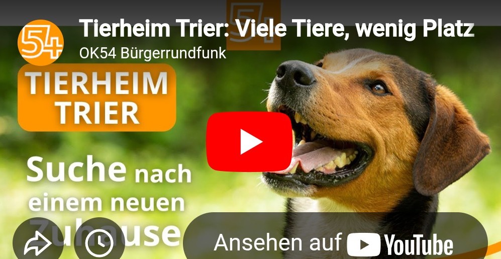 Bericht des OK54 über unser Tierheim