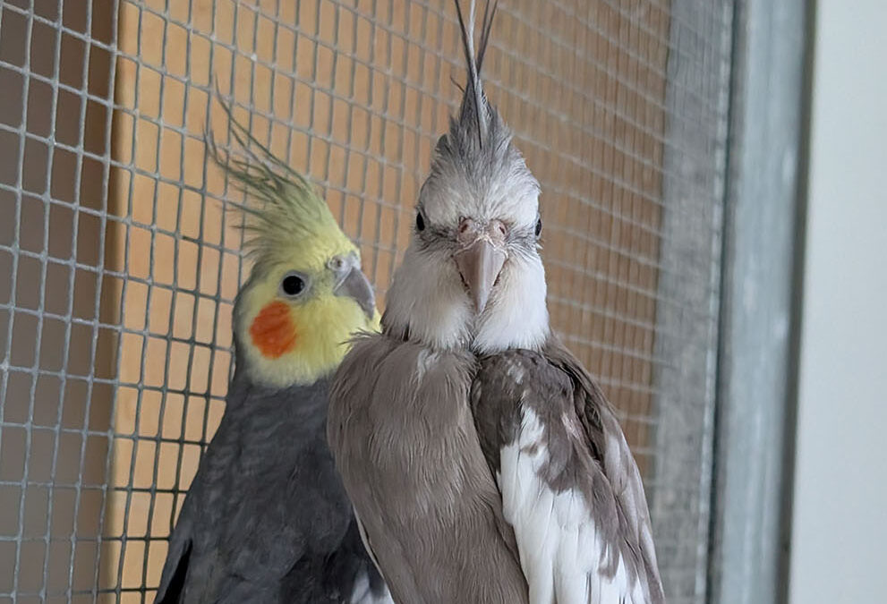 Danilo & Doris