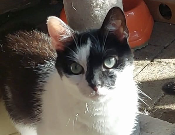 Lucy