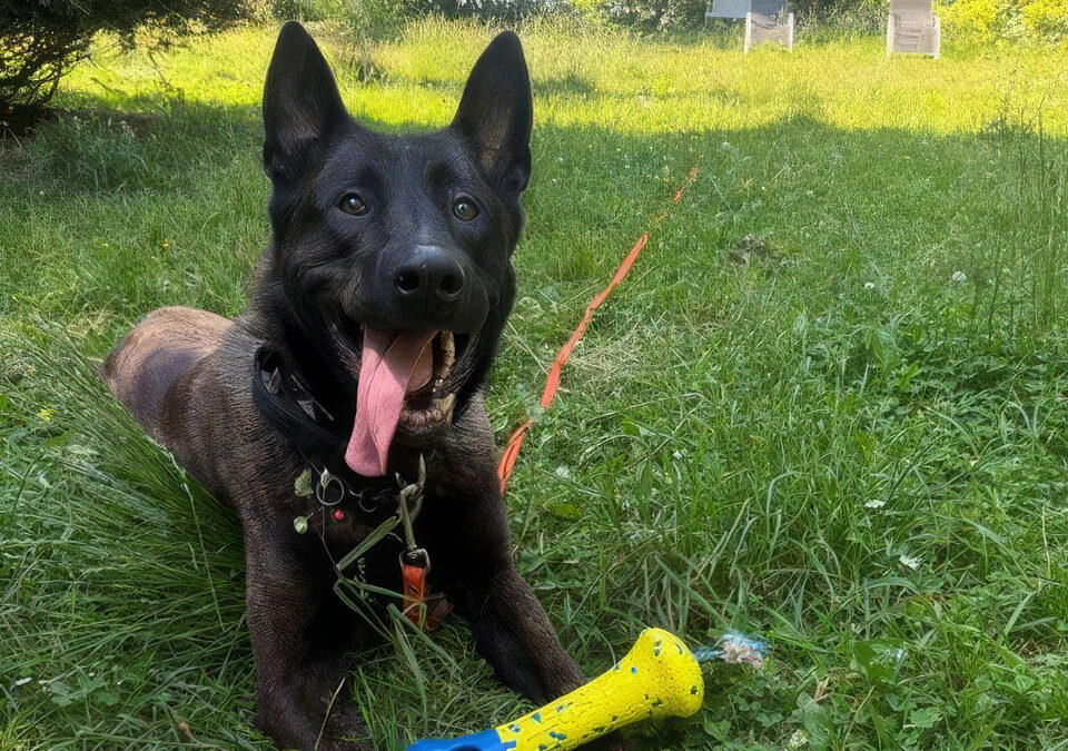 Mali