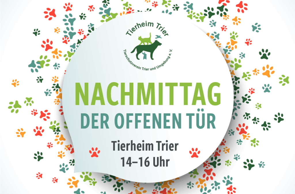 Nachmittag der offenen Tür: So., 04.10.2025